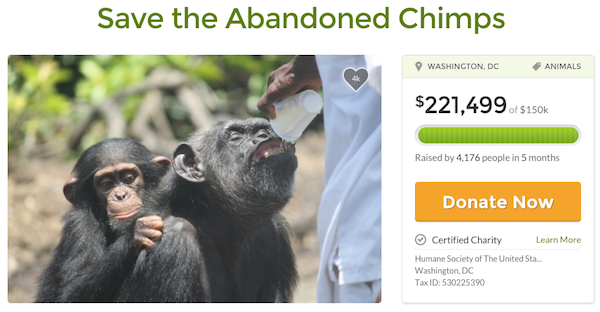 save the abandonded chimps