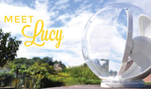 lucy